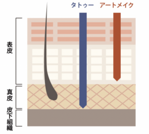 アートメイク解説