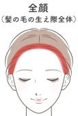 全頭