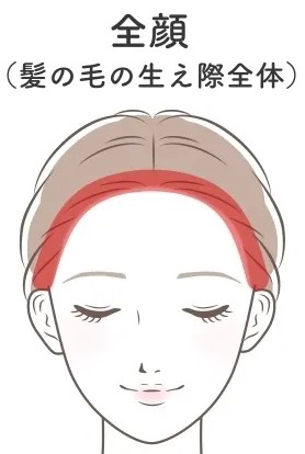 全頭